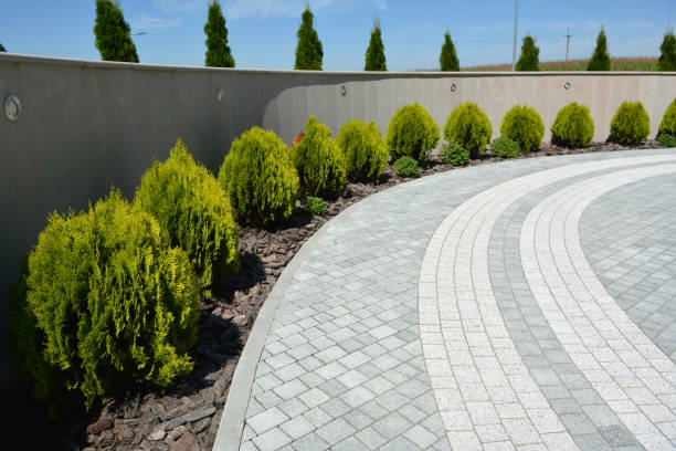 Professional Driveway Pavers in The Colony, TX